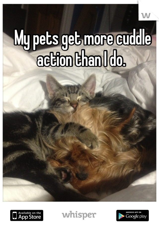 My pets get more cuddle action than I do. 