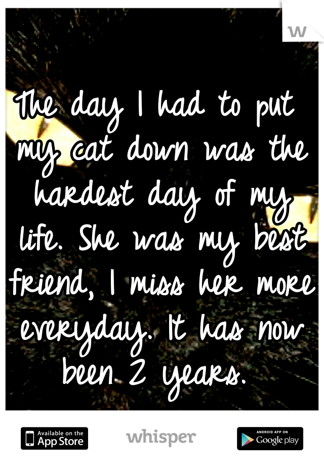 The day I had to put my cat down was the hardest day of my life. She was my best friend, I miss her more everyday. It has now been 2 years. 