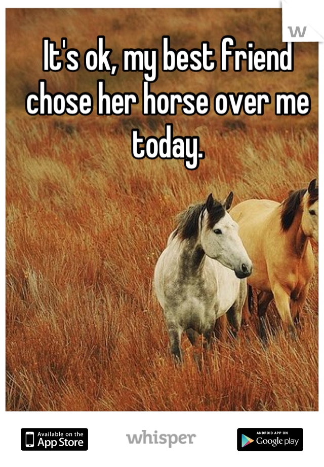 It's ok, my best friend chose her horse over me today.