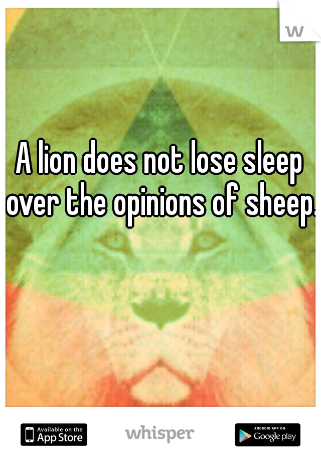 A lion does not lose sleep over the opinions of sheep.