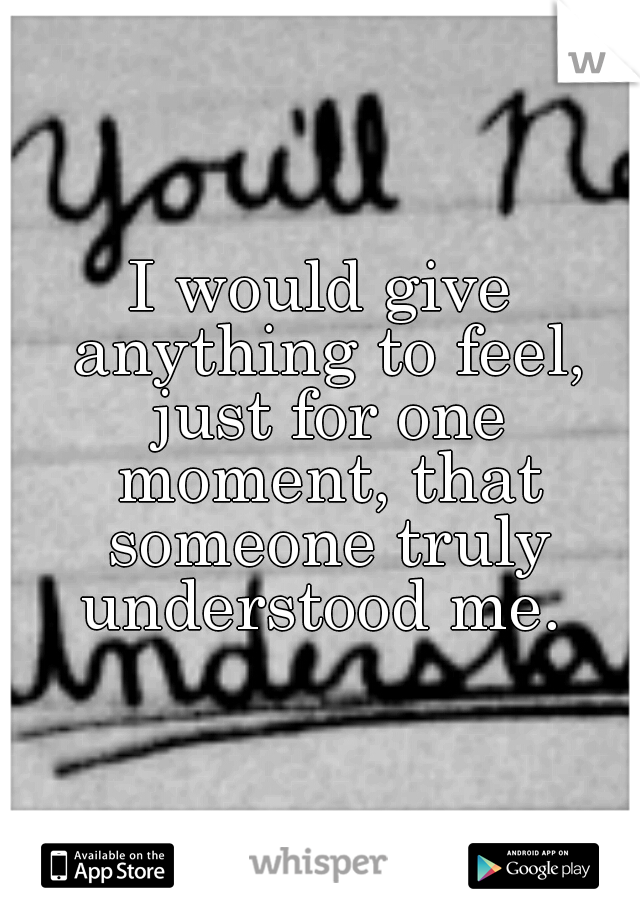 I would give anything to feel, just for one moment, that someone truly understood me. 