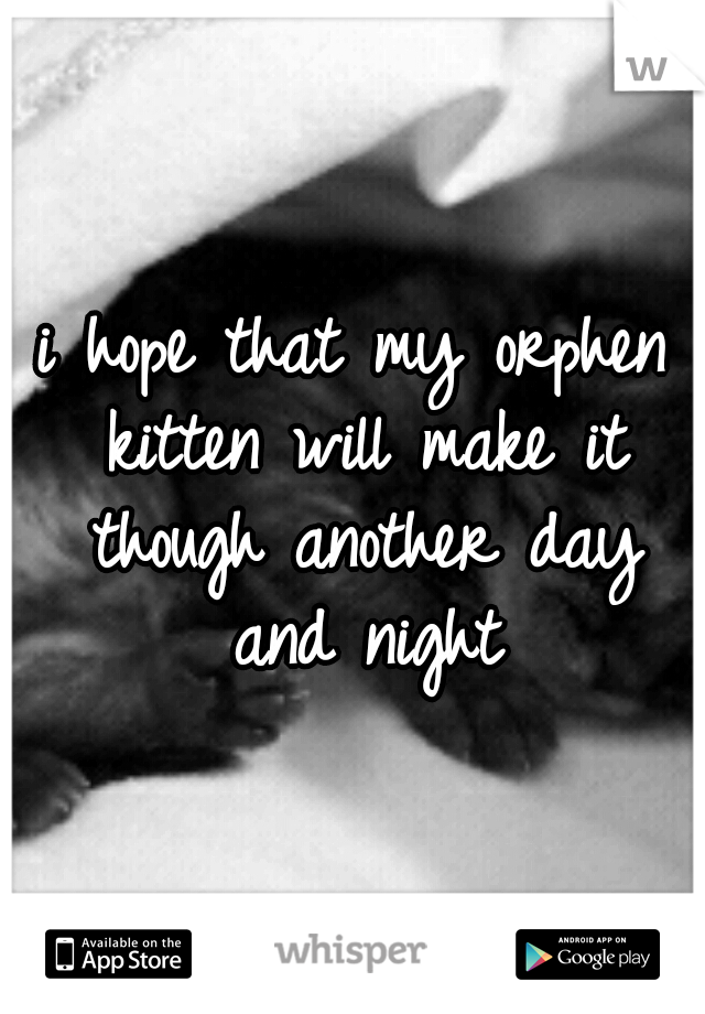 i hope that my orphen kitten will make it though another day and night