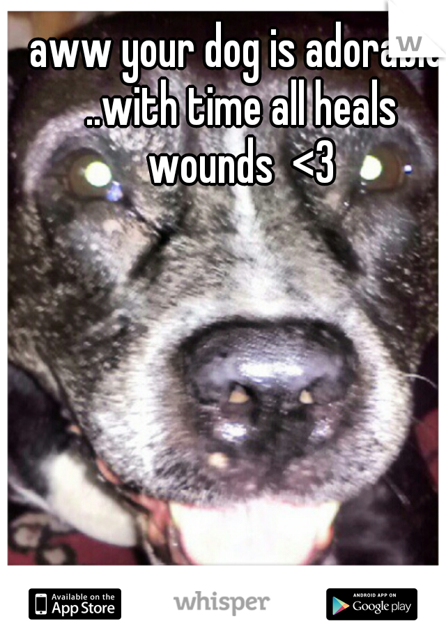 aww your dog is adorable ..with time all heals wounds  <3