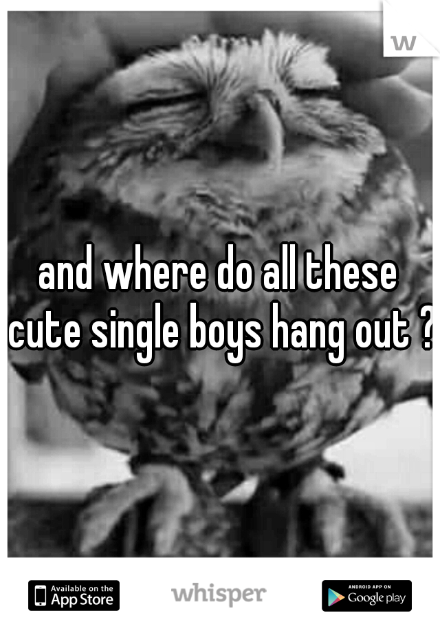 and where do all these cute single boys hang out ?