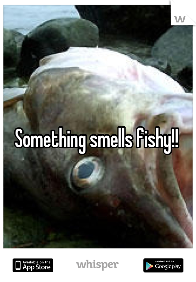 Something smells fishy!! 