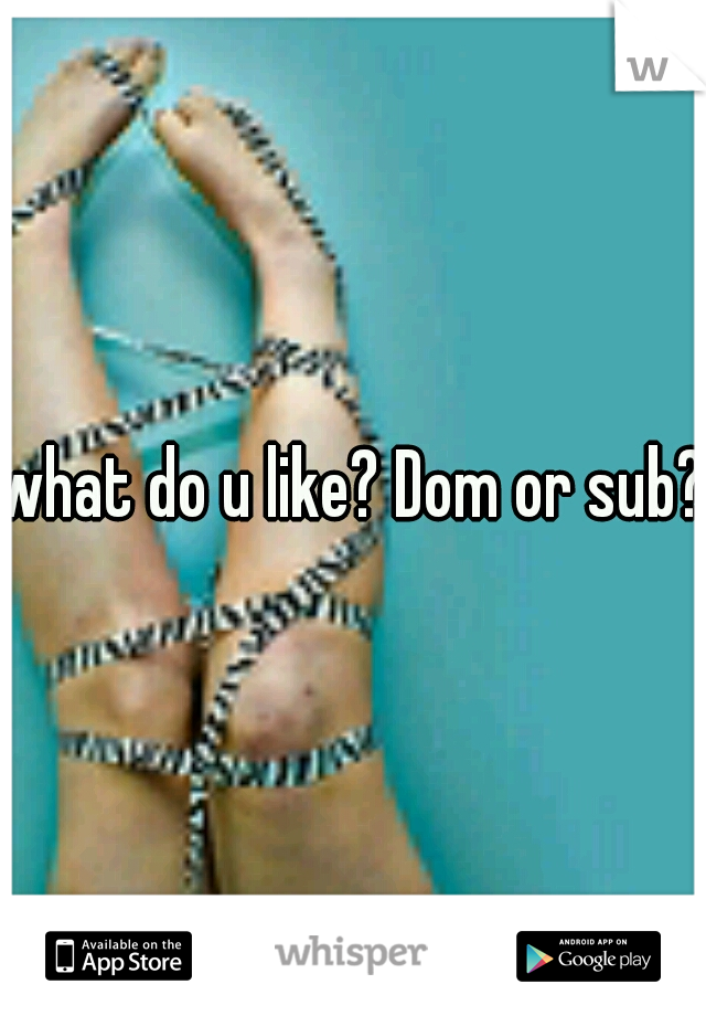 what do u like? Dom or sub? 
