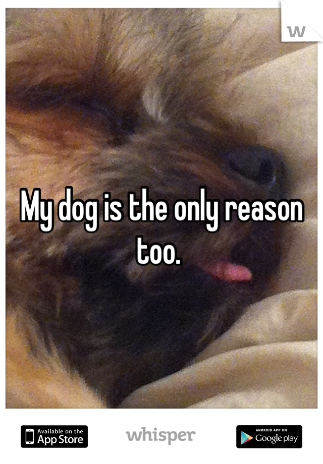 My dog is the only reason too. 