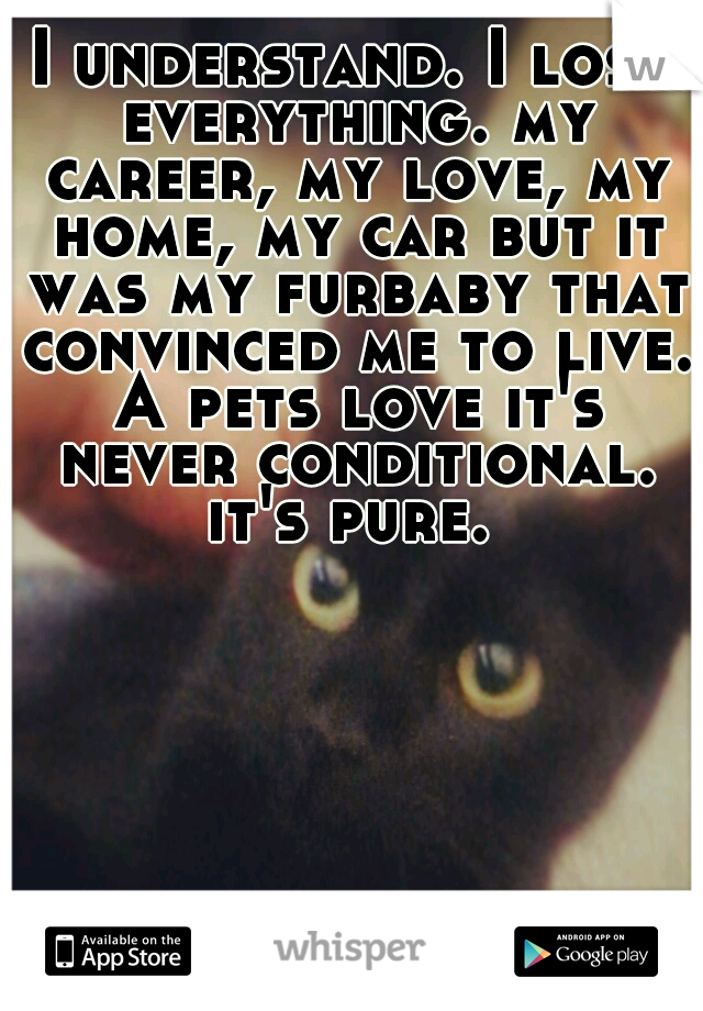 I understand. I lost everything. my career, my love, my home, my car but it was my furbaby that convinced me to live. A pets love it's never conditional. it's pure. 