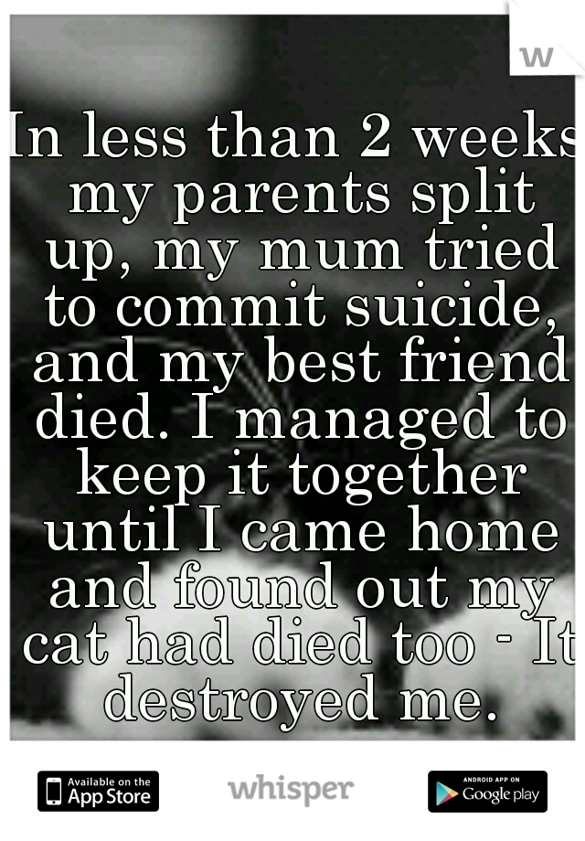 In less than 2 weeks my parents split up, my mum tried to commit suicide, and my best friend died. I managed to keep it together until I came home and found out my cat had died too - It destroyed me.