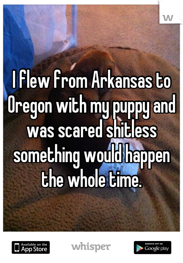 I flew from Arkansas to Oregon with my puppy and was scared shitless something would happen the whole time.