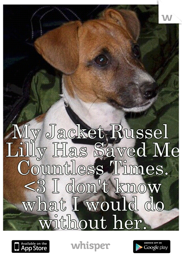 My Jacket Russel Lilly Has Saved Me Countless Times. <3 I don't know what I would do without her.