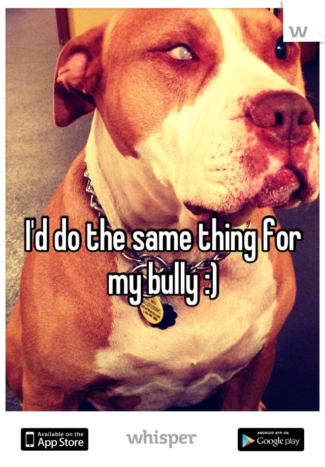 I'd do the same thing for my bully :)