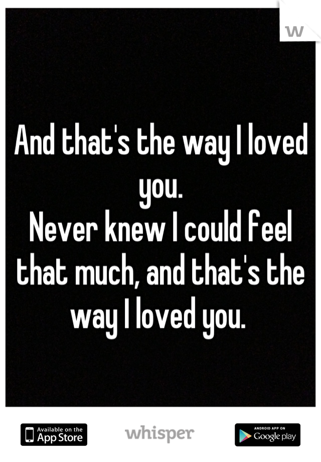 And that's the way I loved you. 
Never knew I could feel that much, and that's the way I loved you. 