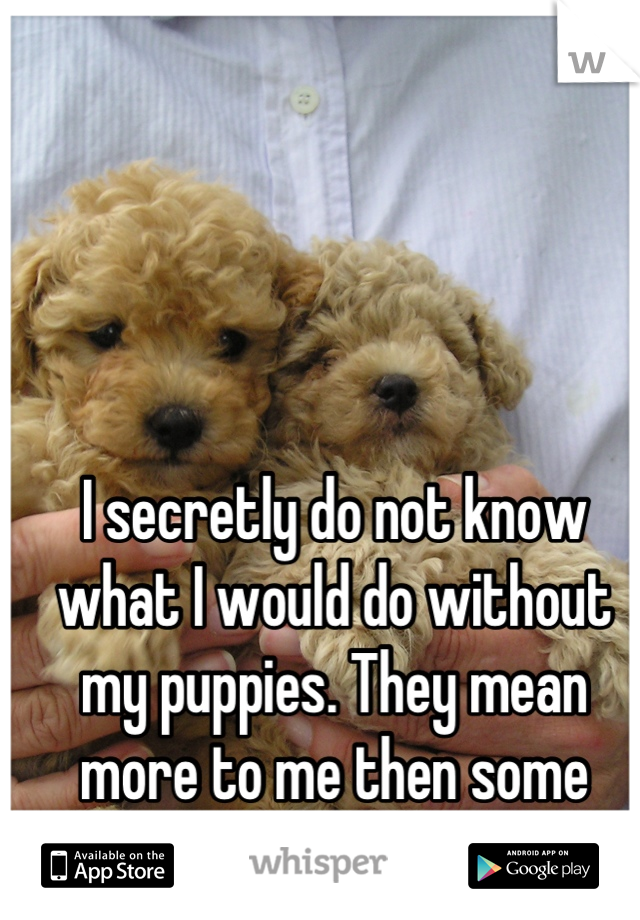 I secretly do not know what I would do without my puppies. They mean more to me then some people do.