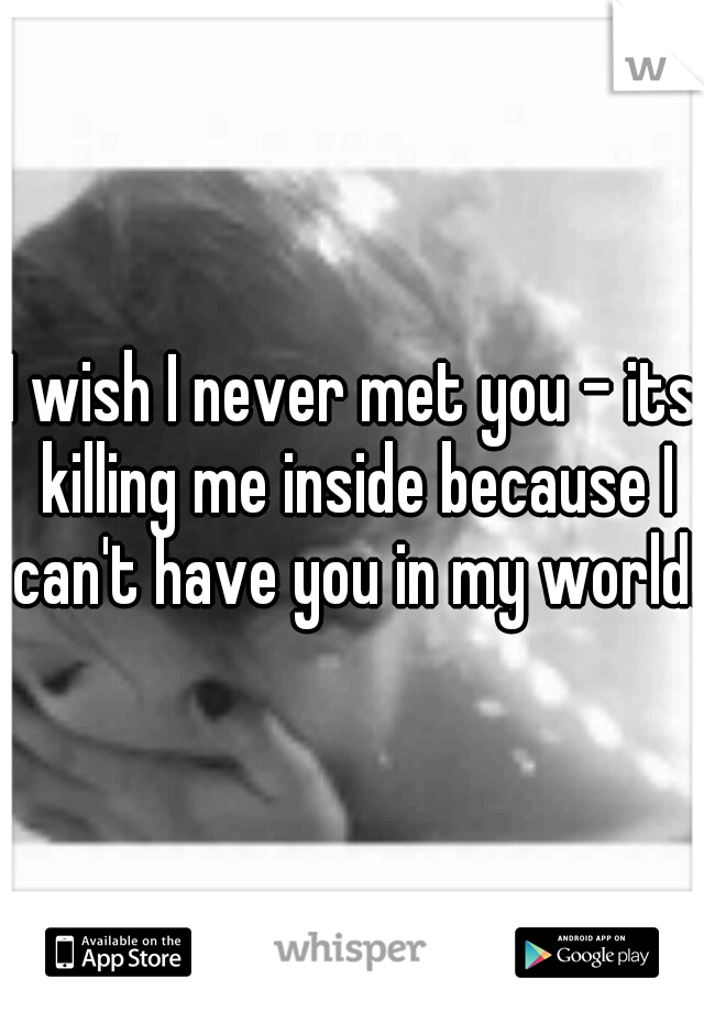 I wish I never met you - its killing me inside because I can't have you in my world.