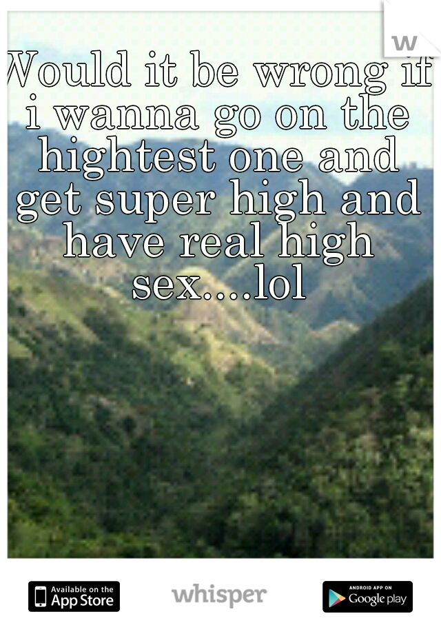 Would it be wrong if i wanna go on the hightest one and get super high and have real high sex....lol