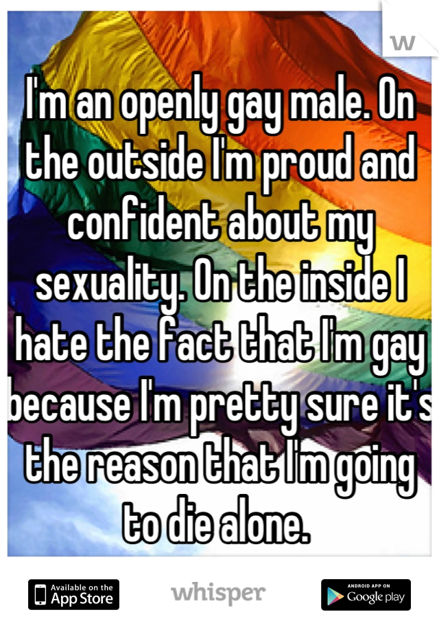 I'm an openly gay male. On the outside I'm proud and confident about my sexuality. On the inside I hate the fact that I'm gay because I'm pretty sure it's the reason that I'm going to die alone. 