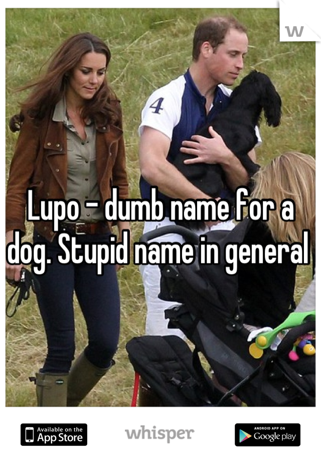 Lupo - dumb name for a dog. Stupid name in general 