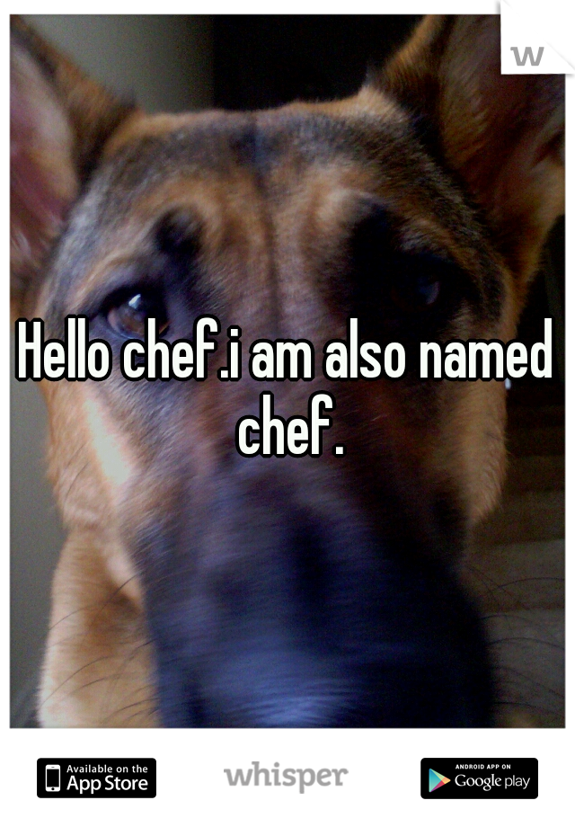 Hello chef.i am also named chef.