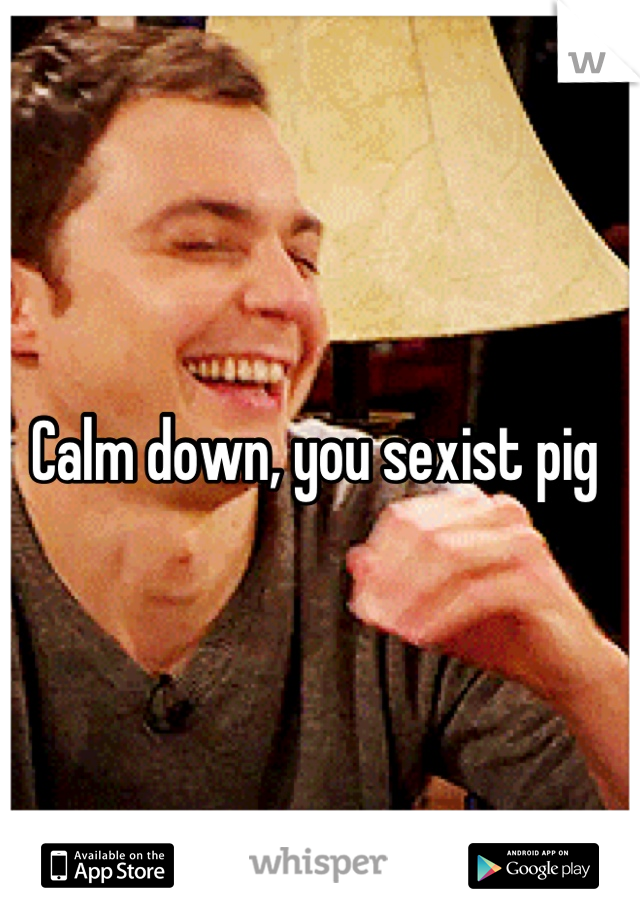 Calm down, you sexist pig 