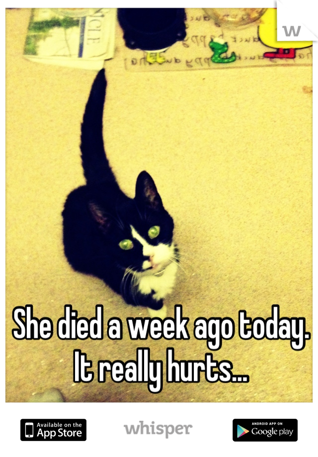 She died a week ago today. It really hurts...
