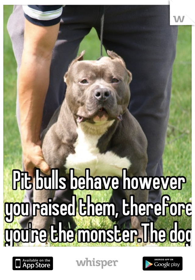 Pit bulls behave however you raised them, therefore you're the monster.The dog is not.