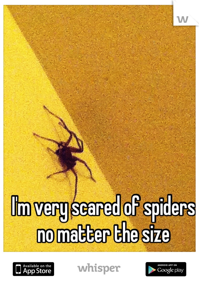 I'm very scared of spiders no matter the size