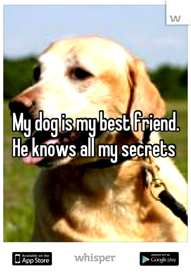 My dog is my best friend. He knows all my secrets 