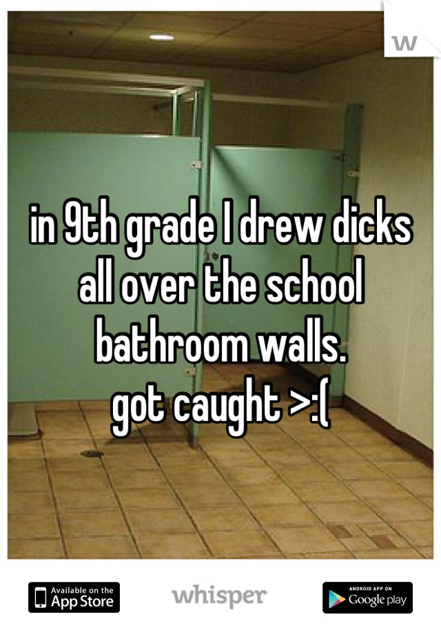 in 9th grade I drew dicks 
all over the school 
bathroom walls. 
got caught >:(