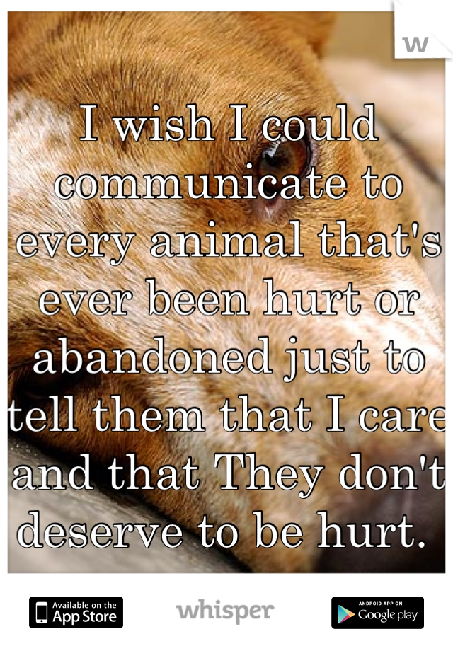 I wish I could communicate to every animal that's ever been hurt or abandoned just to tell them that I care and that They don't deserve to be hurt. 
