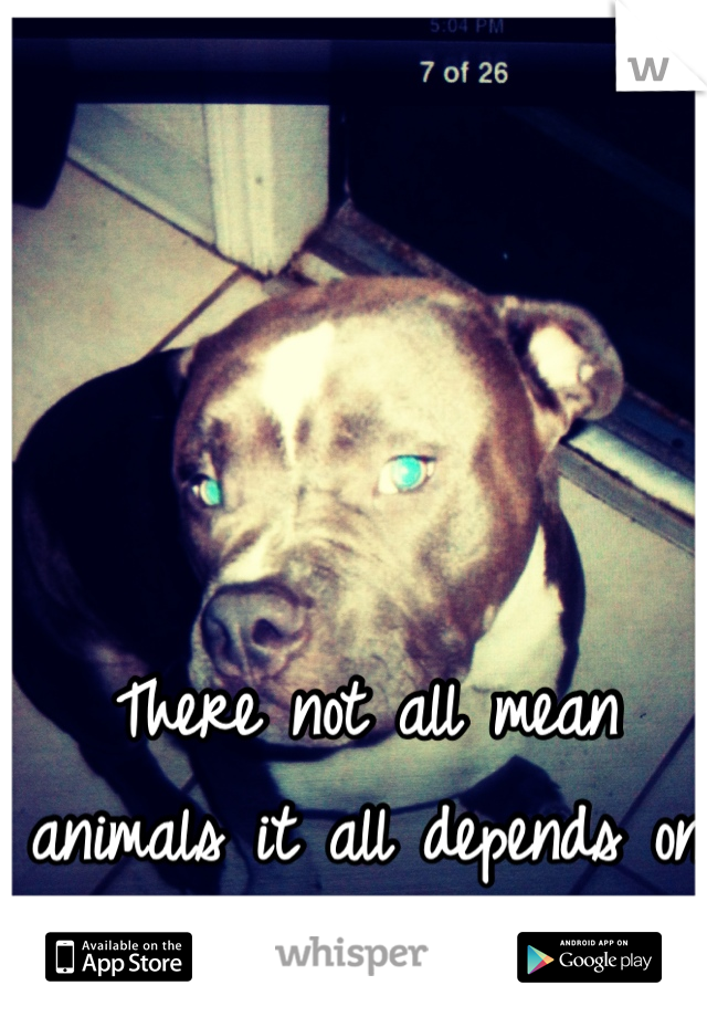 There not all mean animals it all depends on the owner 