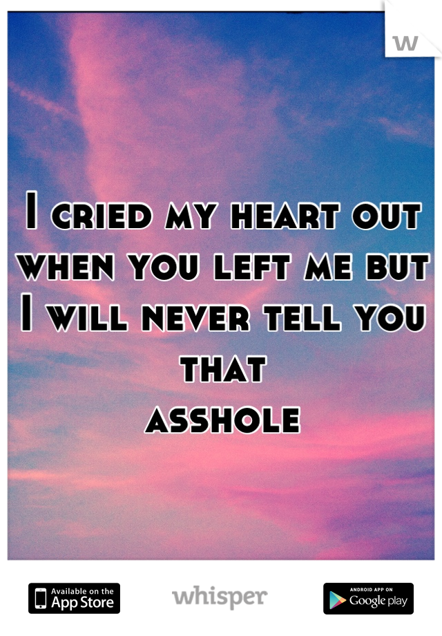 I cried my heart out when you left me but I will never tell you that 
 asshole 
