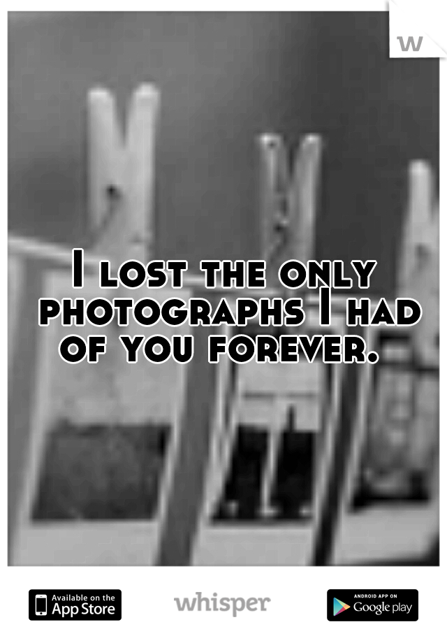 I lost the only photographs I had of you forever.
