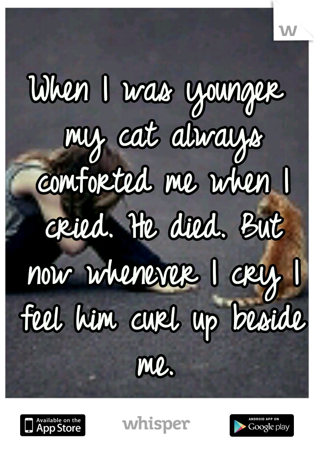 When I was younger my cat always comforted me when I cried. He died. But now whenever I cry I feel him curl up beside me. 