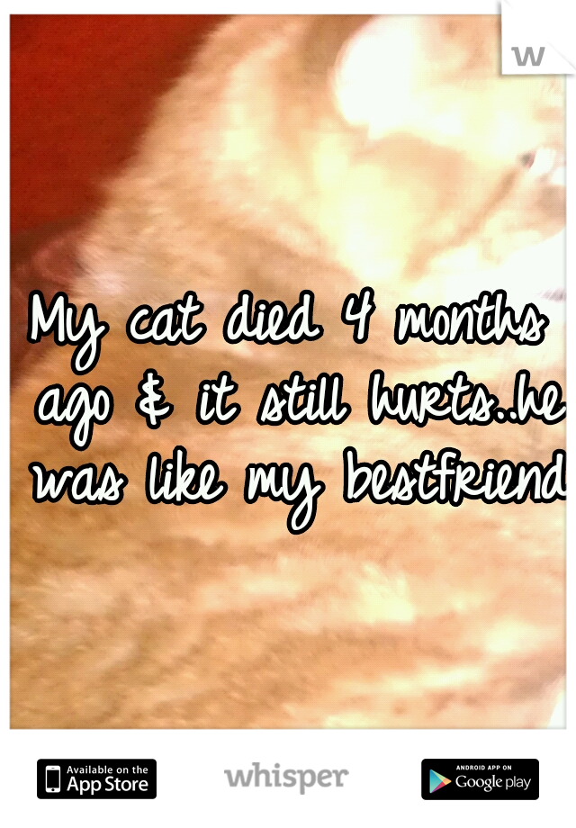 My cat died 4 months ago & it still hurts..he was like my bestfriend 