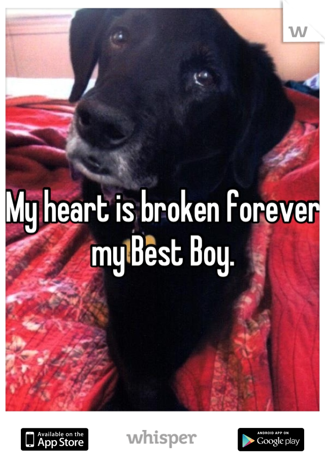 My heart is broken forever my Best Boy.
