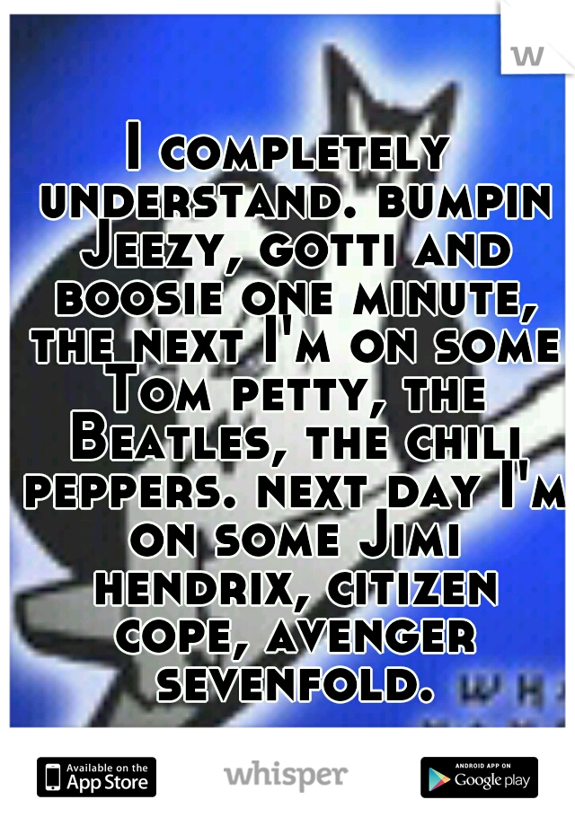 I completely understand. bumpin Jeezy, gotti and boosie one minute, the next I'm on some Tom petty, the Beatles, the chili peppers. next day I'm on some Jimi hendrix, citizen cope, avenger sevenfold.