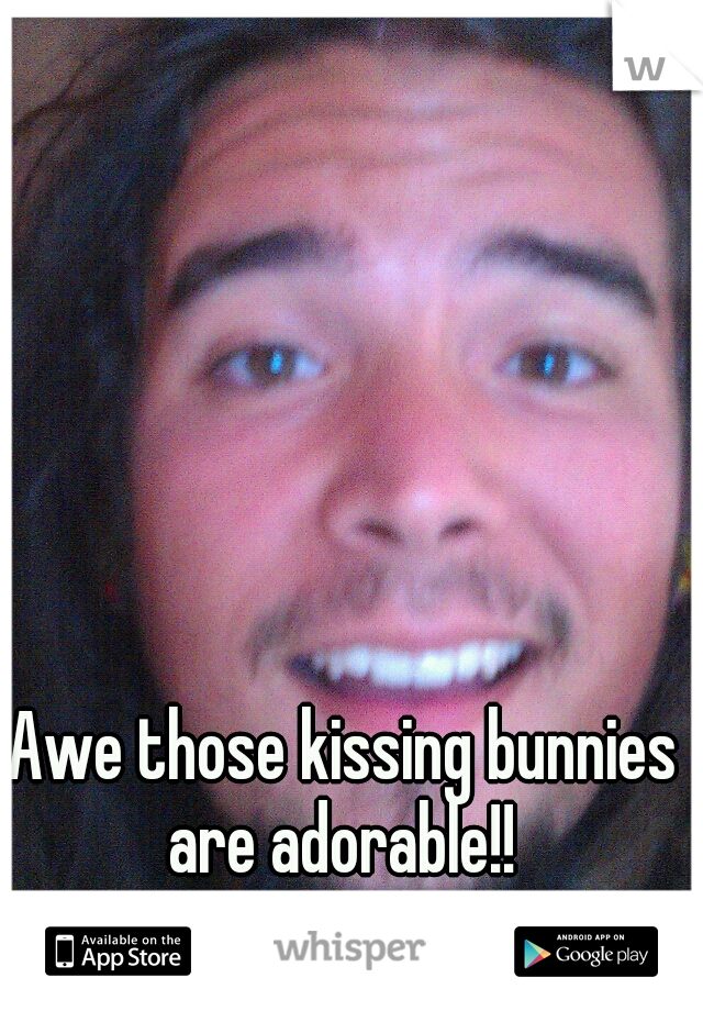 Awe those kissing bunnies are adorable!! 