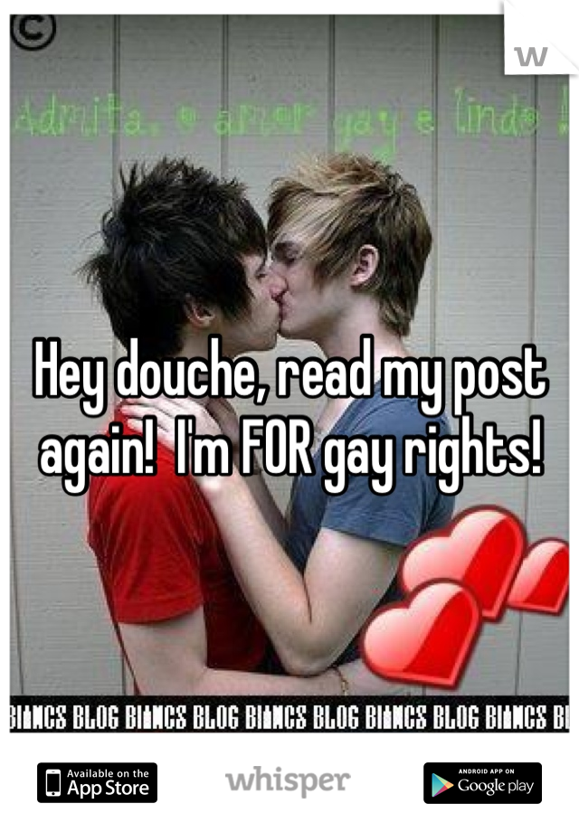 Hey douche, read my post again!  I'm FOR gay rights!