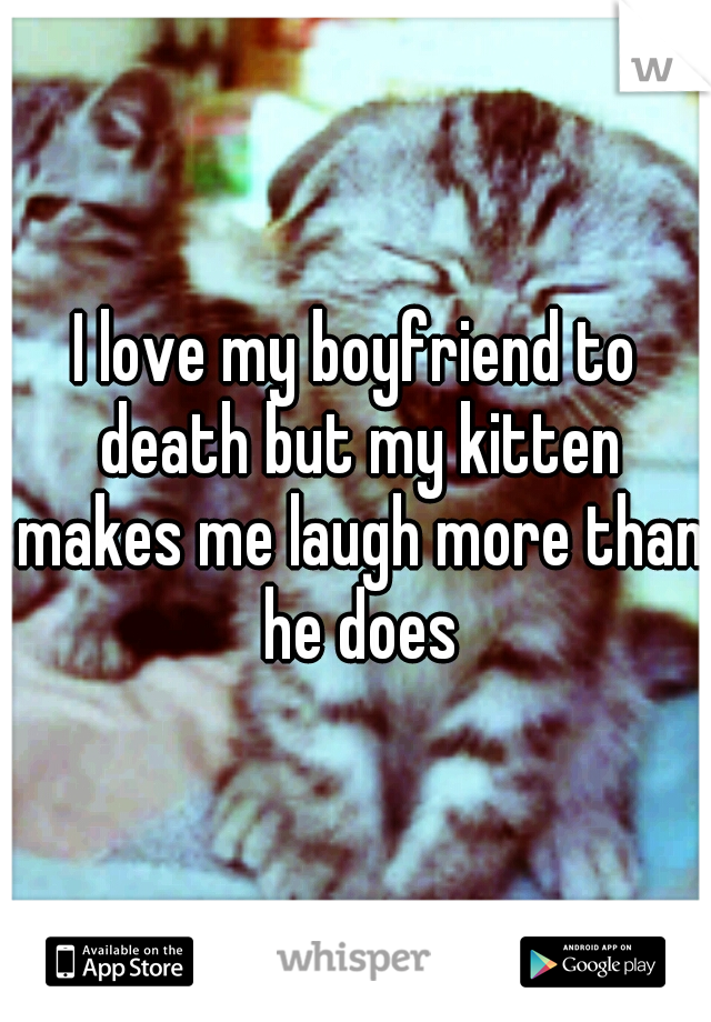 I love my boyfriend to death but my kitten makes me laugh more than he does