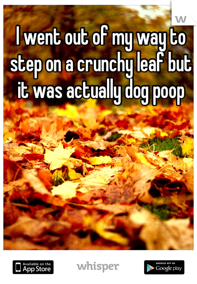 I went out of my way to step on a crunchy leaf but it was actually dog poop