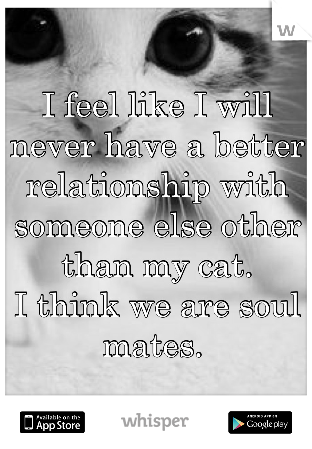 I feel like I will never have a better relationship with someone else other than my cat. 
I think we are soul mates. 
