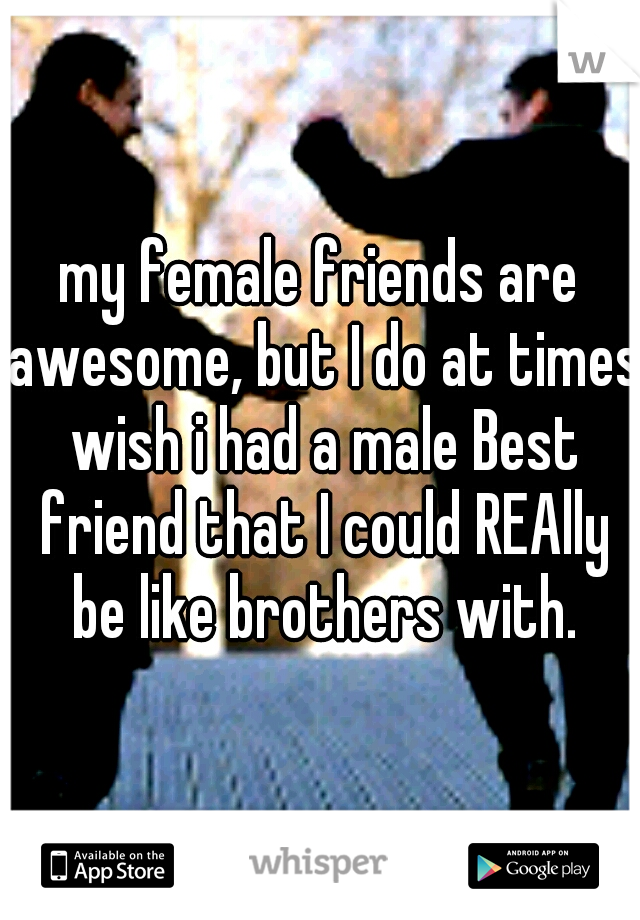 my female friends are awesome, but I do at times wish i had a male Best friend that I could REAlly be like brothers with.