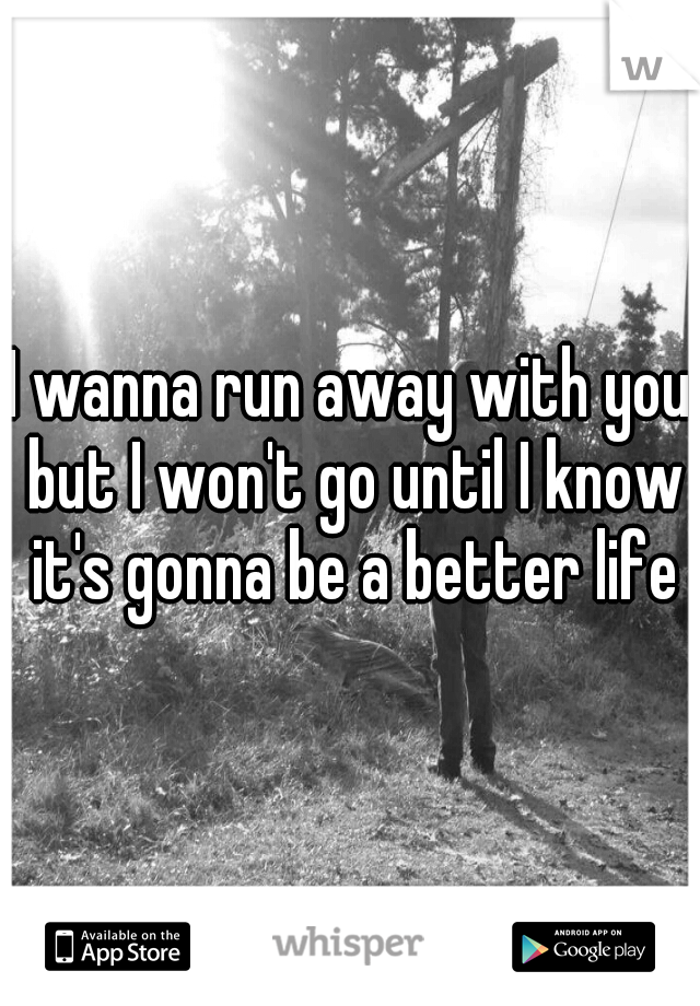 I wanna run away with you but I won't go until I know it's gonna be a better life