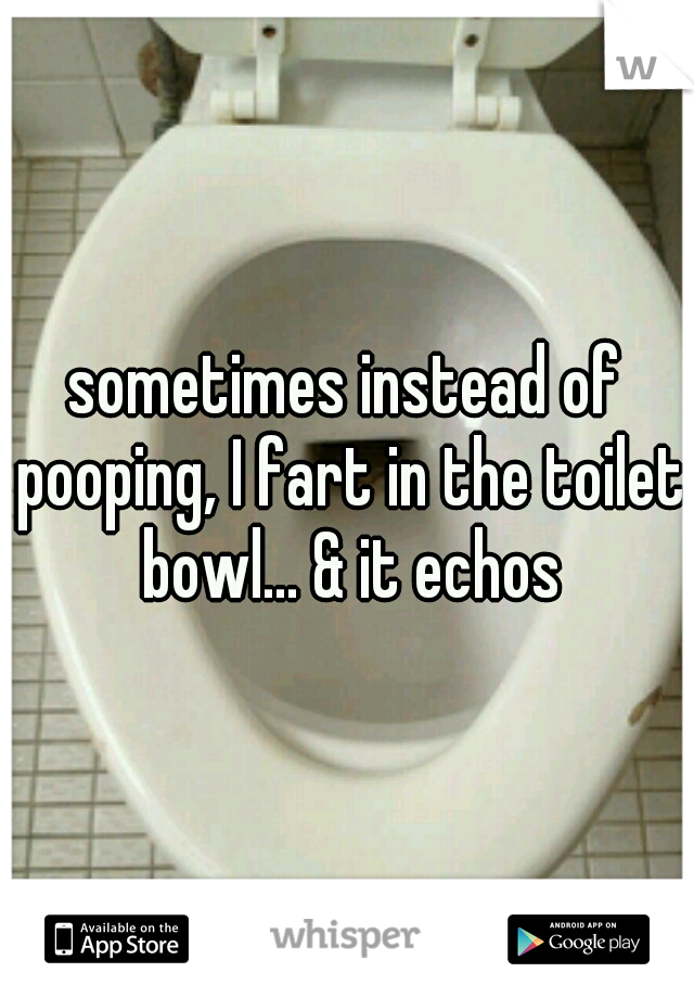 sometimes instead of pooping, I fart in the toilet bowl... & it echos