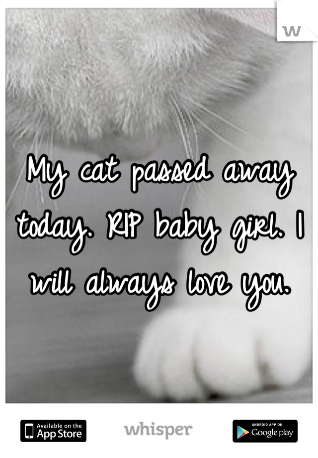 My cat passed away today. RIP baby girl. I will always love you.