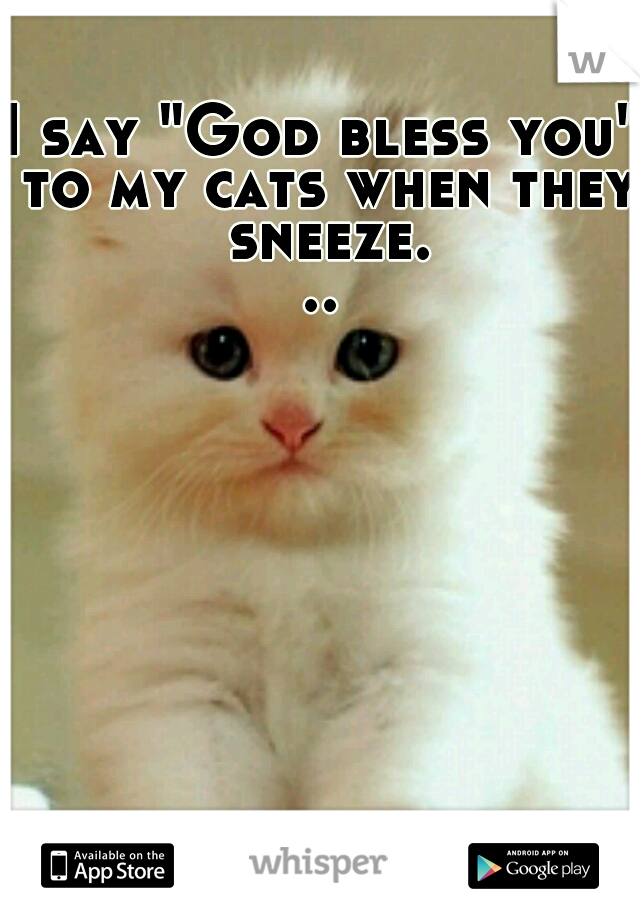 I say "God bless you" to my cats when they sneeze...