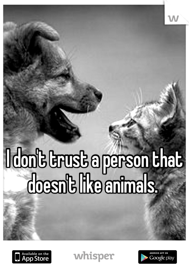 I don't trust a person that doesn't like animals. 