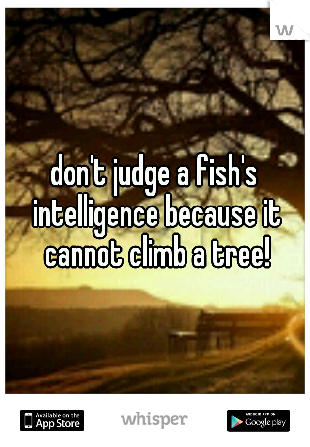 don't judge a fish's intelligence because it cannot climb a tree!