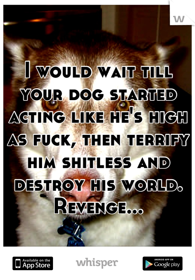 I would wait till your dog started acting like he's high as fuck, then terrify him shitless and destroy his world. Revenge...